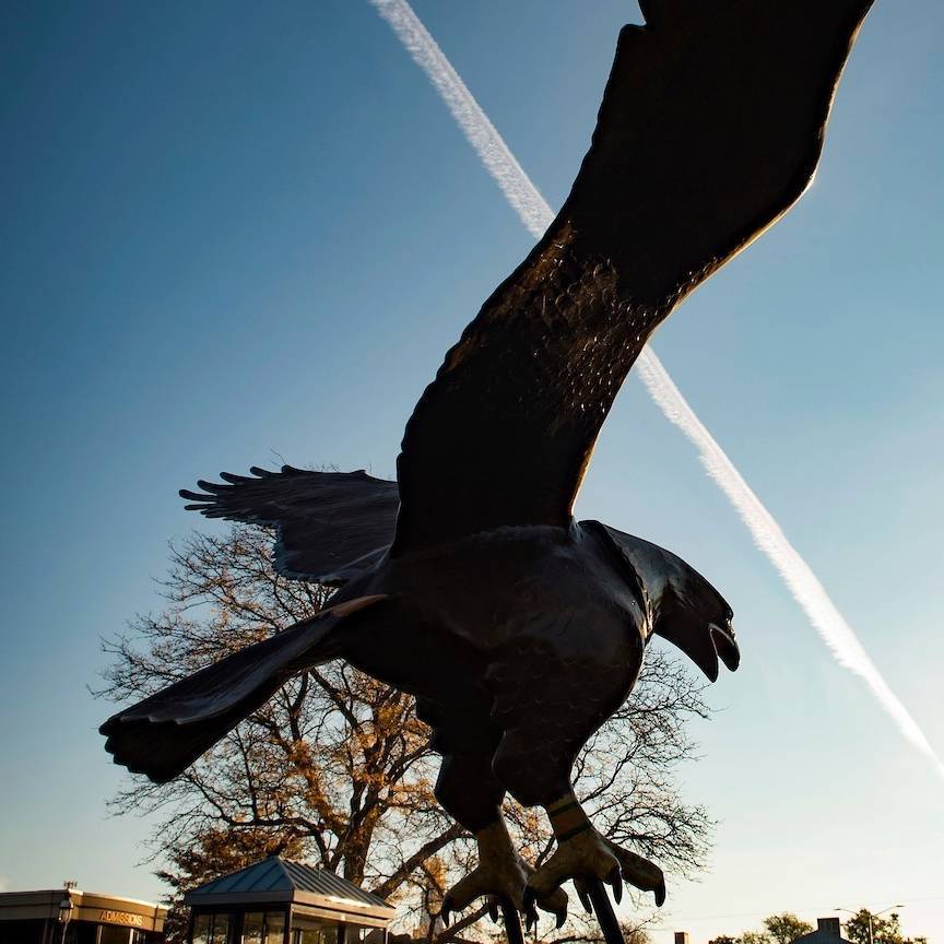 Suzanne Malpocher '73 Golden Eagle Opportunity Fund